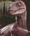 2160_JurassicPark     velociraptor.jpg